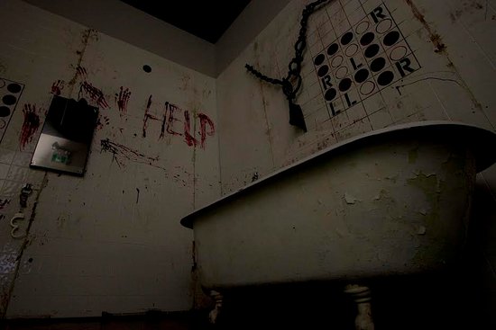 Image 6