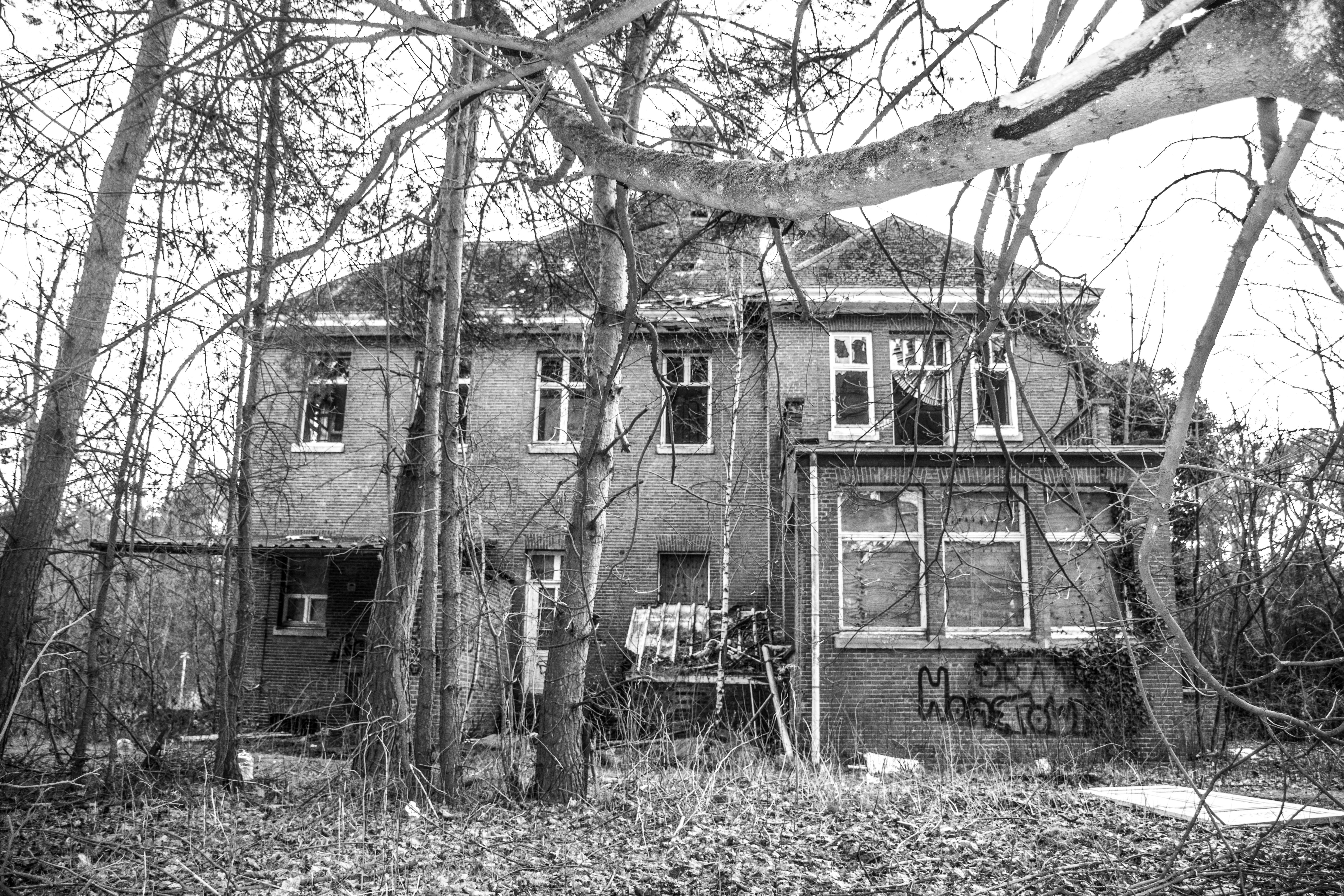 Haunted house 4.